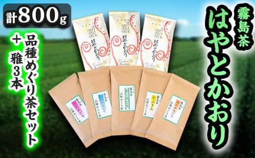 C-018 霧島茶 はやとかおり(詰合せ)品種めぐり茶セット、雅3本【マル竹園製茶】