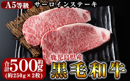 C-030 鹿児島県産黒毛和牛＜A5等級＞黒毛和牛サーロインステーキ約250ｇ×2枚【きりしま畜産】