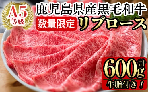 C-080 ＜数量限定！＞鹿児島県産黒毛和牛リブロース肉600g(A-5等級)【九面屋】