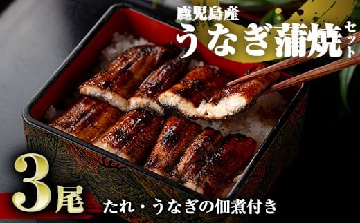 D-037 鹿児島産うなぎ蒲焼セット【うなぎの尾方】