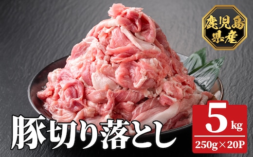 K-618-D 鹿児島県産豚切り落とし 真空パック250g×20P(計5kg)【ハピネス】霧島市 肉 豚肉 豚 精肉 鹿児島県産 切り落とし セット 小分け 冷凍