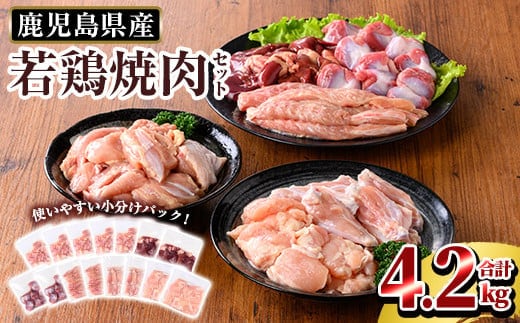 K-221 鹿児島県産 若鶏焼肉セット (合計4.2kg)【TRINITY】 霧島市 国産 冷凍 真空パック 小分け 鶏肉 鳥肉 詰め合わせ