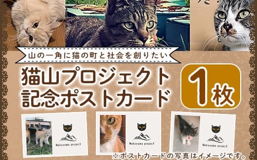 K-270 猫山プロジェクト記念ポストカード(1枚)【chichinpuipui王国★猫山プロジェクト】霧島市 支援 応援 猫 動物