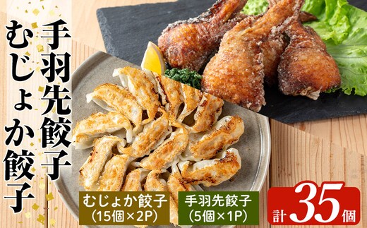 K-285-C 霧島高原純粋黒豚使用！餃子2種セット(手羽先餃子5個×1P・むじょか餃子15個×2P 計35個)【MAGONIMO餃子】霧島市 餃子 ぎょうざ 手羽 生餃子 黒豚 豚 惣菜 総菜 時短 おかず