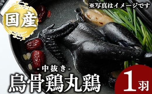 K-333 国産！オーガニック烏骨鶏丸鶏(中抜き)1羽【お多福たまご】霧島市 国産 九州産 鹿児島県産 烏骨鶏 うこっけい 鶏肉 鳥肉 鶏 とり 丸どり 無投薬 無投薬飼育 抗生物質不使用 ワクチン不使用 ワクチンフリー オーガニックチキン