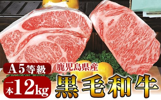 P-702 鹿児島県産黒毛和牛＜A5等級＞黒毛和牛特選サーロイン1本約12kg【きりしま畜産】牛肉 国産 ステーキ すき焼き ブロック肉