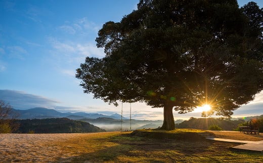 PK-002 天空の森「霖雨の森」ペア宿泊券(1泊2食付)温泉付きヴィラで完全プライベート1泊2食付きペア宿泊チケット【天空の森】宿泊 旅行 チケット 宿泊券 温泉 旅行券 温泉 高級宿