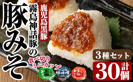 Z6-012-S 霧島神話豚の豚みそ！合計30個(豚味噌10個・ピリ辛味10個・ゴーヤ味10個)【富士食品】霧島市 豚肉 豚味噌 ミソ 味噌 ご飯のお供 調味料 おかず 小分け 和風 惣菜 お弁当