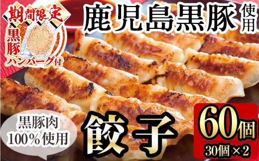 A-109 ＜期間限定！黒豚ハンバーグ付＞鹿児島黒豚餃子60個(30個×2)国産！鹿児島県産黒豚肉を100%使用した冷凍黒豚ぎょうざ【九面屋】国産 霧島市 ギョーザ 冷凍 惣菜 おかず おつまみ 黒豚 タレ付き