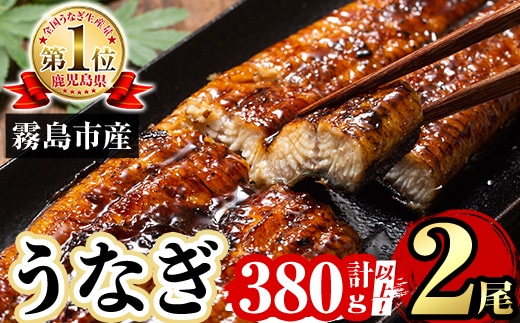 A5-034-RT 数量限定！特別サイズ！霧島産うなぎ蒲焼き計380g以上(190g超×2尾)【田代水産】霧島市 国産 鹿児島県産 うなぎ 鰻 ウナギ 高級 蒲焼き 蒲焼 かばやき タレ