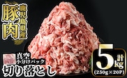 A5-033-D 国産！鹿児島県産豚肉切り落とし真空小分け 250g×20P(計5kg)【肉の豊楽】霧島市 豚肉 ぶたにく 豚 小分け 切り落とし 真空パック 切落し 冷凍
