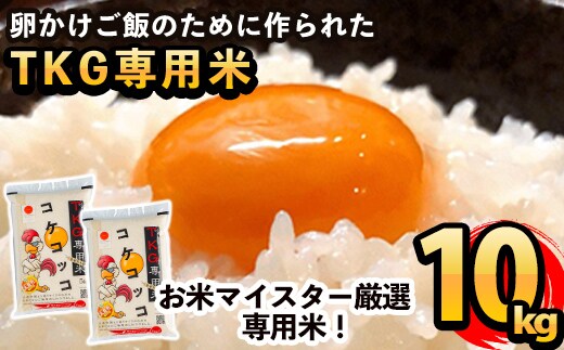 B-108 《令和7年産》日本初！卵かけご飯専用米!コケコッコ(TKG専用米)計10kg(5kg×2パック)【山口米店】お米 精米 白米 米 お米 こめ コメ