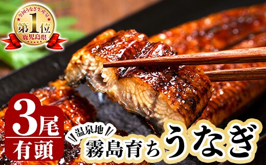 B-128-RT 霧島市育ちのあの「うなぎ」120～130g×3尾【田代水産】霧島市 鰻 ウナギ 蒲焼き 蒲焼 国産