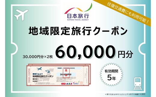 K-340 鹿児島県霧島市 日本旅行 地域限定旅行クーポン(60,000円分)【日本旅行】霧島市 チケット 旅行 宿泊券 ホテル 観光 旅行 旅行券 交通費 体験 宿泊 夏休み 冬休み 家族旅行 一人旅 トラベルクーポン 霧島