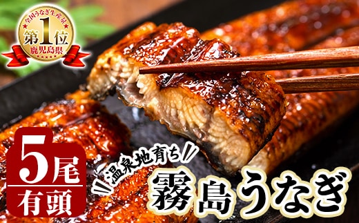 C-077-RT 霧島うなぎ蒲焼き120～130g×5尾【田代水産】霧島市 鰻 ウナギ 蒲焼き 蒲焼 国産