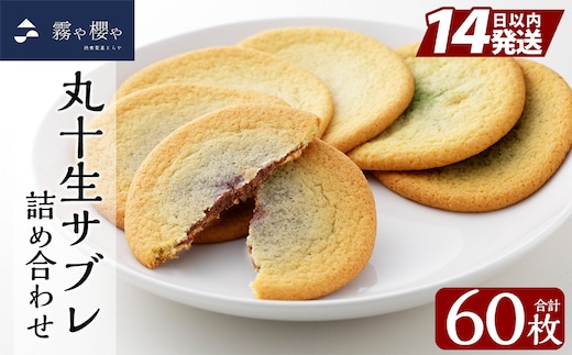 C-086-B 丸十生サブレ詰め合わせ(12枚入×5箱 計60枚)【徳重製菓とらや】霧島市 生サブレ サブレ しっとり なめらか マイルド お菓子 焼菓子 おやつ お土産 贈り物 手土産 チョコレート ホワイトチョコレート 霧島茶チョコレート