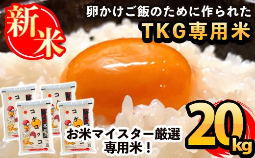 D-052 《令和7年産新米》日本初！卵かけご飯専用米!コケコッコ(TKG専用米)計20kg(5kg×4パック)【山口米店】お米 精米 白米 米 お米 こめ コメ