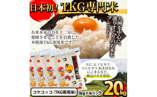 D-052 卵かけご飯専用米!コケコッコ(TKG専用米)計20kg(5kg×4パック