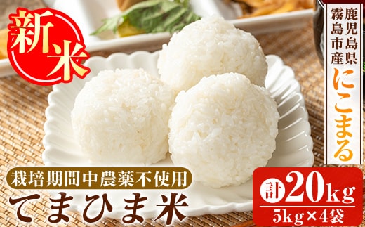 K-198-D 令和7年産新米 てまひま米(品種:にこまる)(計20kg)【末蜜農園】霧島市 お米 精米 白米 米 こめ コメ ご飯ごはん 栽培期間中農薬不使用
