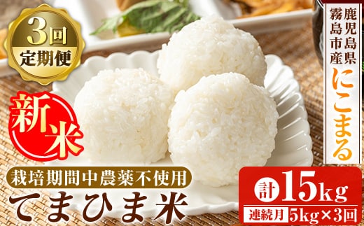 K-198-E 【3回定期便】令和7年産新米 てまひま米(品種:にこまる)(計15kg：5kg×3回)【末蜜農園】霧島市 お米 精米 白米 米 こめ コメ ご飯 ごはん 定期便 栽培期間中農薬不使用