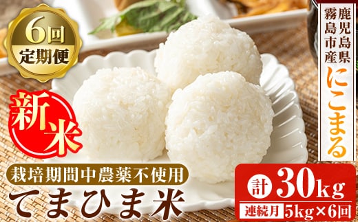 K-198-F 【6回定期便】令和7年産新米 てまひま米(品種:にこまる)(計30kg：5kg×6回)【末蜜農園】霧島市 お米 精米 白米 米 こめ コメ ご飯 ごはん 定期便 栽培期間中農薬不使用