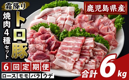 K-379-E ＜6回定期便＞鹿児島県産霜降りトロ豚 焼肉用バラエティセット(計6kg)【ふるさと産直バザール】霧島市 ロース バラ ウデ モモ 焼き肉 ヤキニク 豚肉 国産 鹿児島県産 肉 精肉 小分け セット 食べ比べ 定期便