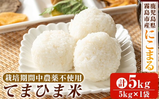 K-198-B 令和7年産 てまひま米(品種:にこまる)(計5kg)【末蜜農園】霧島市 お米 精米 白米 米 こめ コメ ご飯 ごはん 栽培期間中農薬不使用