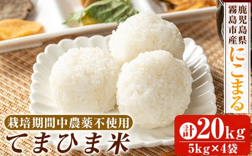 K-198-D 令和7年産 てまひま米(品種:にこまる)(計20kg)【末蜜農園】霧島市 お米 精米 白米 米 こめ コメ ご飯ごはん 栽培期間中農薬不使用