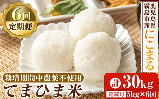 K-198-F 【6回定期便】令和7年産 てまひま米(品種:にこまる)(計30kg：5kg×6回)【末蜜農園】霧島市 お米 精米 白米 米 こめ コメ ご飯 ごはん 定期便 栽培期間中農薬不使用