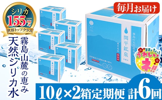 K-493 ＜定期便・全6回＞関平鉱泉水10L×2箱ずつお届け(計12箱)【関平鉱泉所】 霧島市 シリカ シリカ水 水 シリカミネラルウォーター