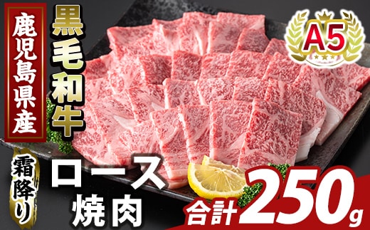 K-482-A 鹿児島県産A５等級黒毛和牛霜降り上ロース焼肉(計250g)【ふるさと産直バザール】霧島市 牛肉 国産 鹿児島県産 ロース 焼肉 肉 精肉