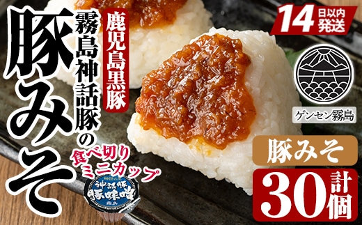 Z6-012-B 霧島神話豚の豚みそ！(豚味噌30個)【富士食品】霧島市 豚肉 豚味噌 ミソ 味噌 ご飯のお供 調味料 おかず 小分け 和風 惣菜 お弁当
