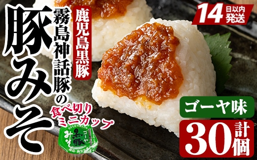 Z6-012-G 霧島神話豚の豚みそ！(ゴーヤ味30個)【富士食品】霧島市 豚肉 豚味噌 ミソ 味噌 ご飯のお供 調味料 おかず 小分け 和風 惣菜 お弁当