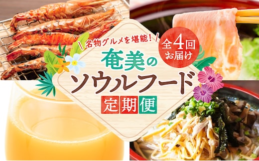 【全4回】奄美のソウルフード定期便 A000-T2403