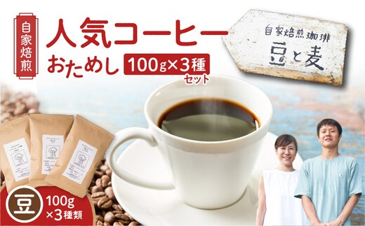 【自家焙煎】豆と麦の人気コーヒー（豆）お試し 100g×3種類セット A017-016-01