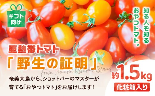 【2026年先行予約】＜化粧箱入/ギフト向け＞ 亜熱帯トマト「野生の証明」約1.5kg A021-001