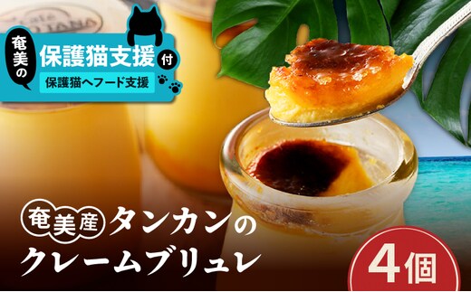 【奄美の保護猫支援（保護猫フード10日分）】＋奄美産タンカンのクレームブリュレ（4個入り） A071-002-01