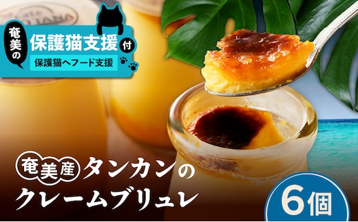 【奄美の保護猫支援（保護猫フード10日分）】＋奄美産タンカンのクレームブリュレ（6個入り） A071-002-02