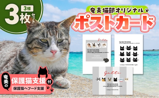 【奄美の保護猫支援（保護猫フード10日分）】＋ポストカード3枚セット A071-006