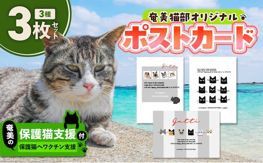 【奄美の保護猫支援（ワクチン代）】＋ポストカード3枚セット A071-007