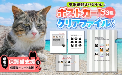 【奄美の保護猫支援（保護猫フード10日分）】＋ポストカード＆クリアファイルセット A071-008