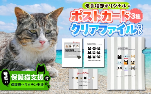 【奄美の保護猫支援（ワクチン代）】＋ポストカード＆クリアファイルセット A071-009