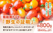 【2026年先行予約】亜熱帯トマト「野生の証明」約800g（約400g×2P）　A021-002-01