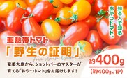 【2026年先行予約】亜熱帯トマト「野生の証明」約400g（約400g×1P）　A021-002-02