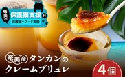 【奄美の保護猫支援（保護猫フード10日分）】＋奄美産タンカンのクレームブリュレ（4個入り）　A071-002-01