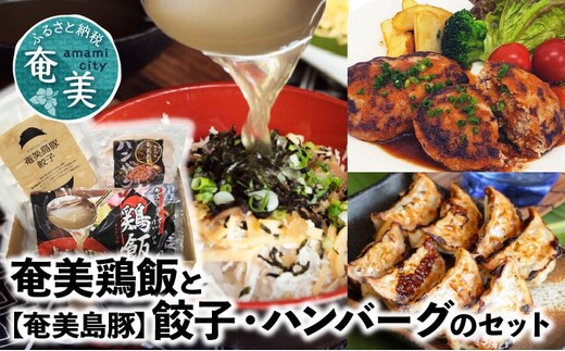 【奄美鶏飯】と【奄美島豚】餃子・ハンバーグのセット A011-004