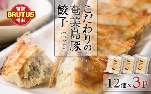 こだわりの奄美島豚餃子 A011-007