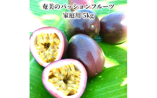 【2026年先行予約】奄美のパッションフルーツ 5kg A041-002