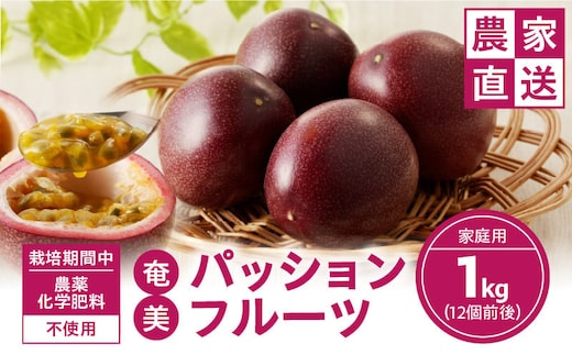 【2026年先行予約】農薬・化学肥料不使用 奄美パッションフルーツ 1kg（12個前後）家庭用 A045-003