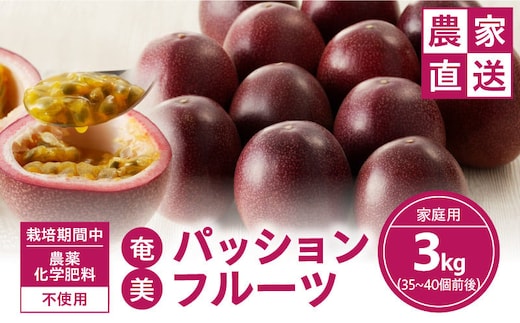 【2026年先行予約】農薬・化学肥料不使用 奄美パッションフルーツ 3kg（35～40個）家庭用 A045-004
